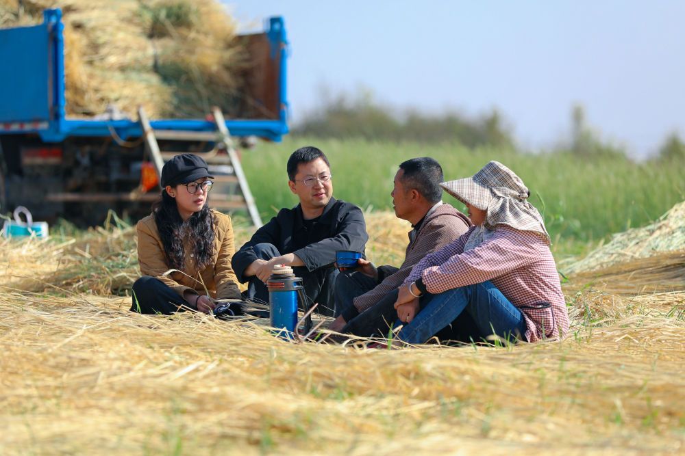 undefined undefined